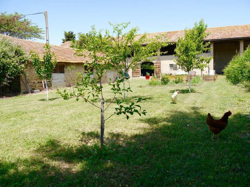 Ferme St Pierre 2 Suites Avec Repas, Piscine, Clim, Cheminee Ou Baignoire Spa Chabeuil Eksteriør billede