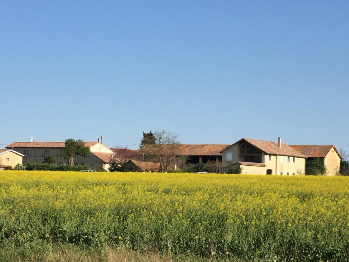 Ferme St Pierre 2 Suites Avec Repas, Piscine, Clim, Cheminee Ou Baignoire Spa Chabeuil Eksteriør billede
